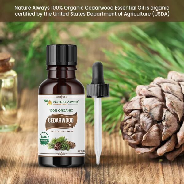 Nature Always' Organic Cedarwood Essential Oil