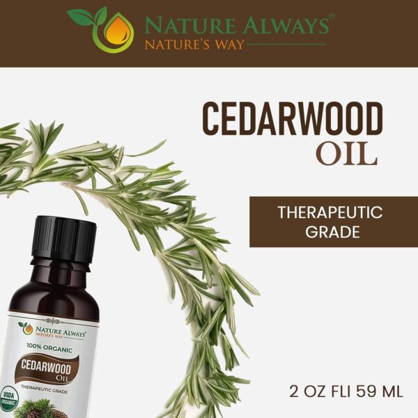 Nature Always' Organic Cedarwood Essential Oil